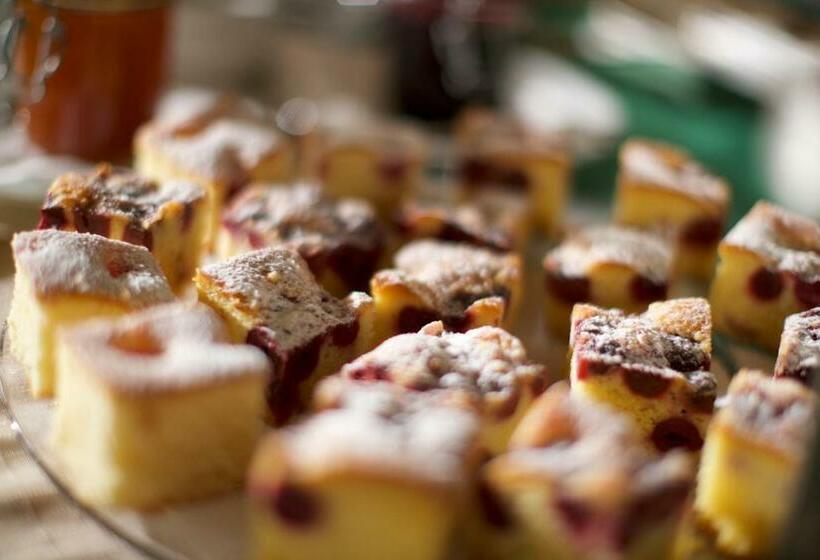 펜션 Riegersburgerhof