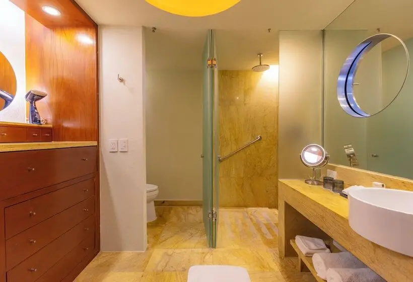 ホテル Barceló Monterrey Valle