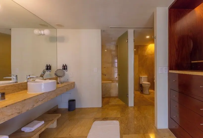 ホテル Barceló Monterrey Valle