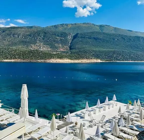 בית מלון כפרי Club çapa