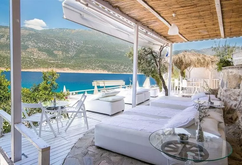 בית מלון כפרי Club çapa