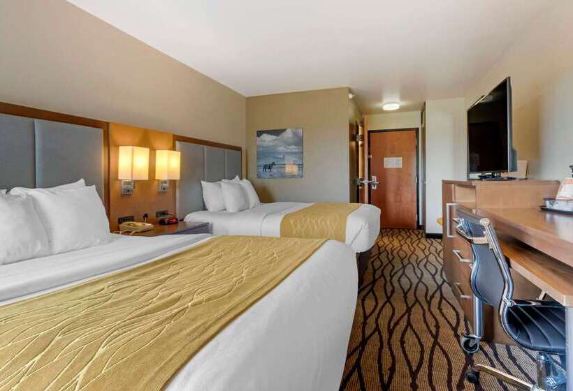 فندق Comfort Inn & Suites Market Airport