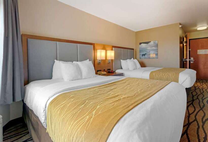 فندق Comfort Inn & Suites Market Airport