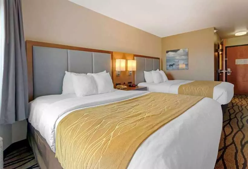 Отель Comfort Inn & Suites Market   Airport