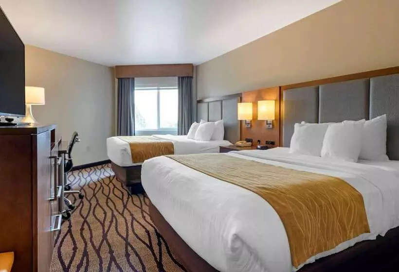 Отель Comfort Inn & Suites Market   Airport