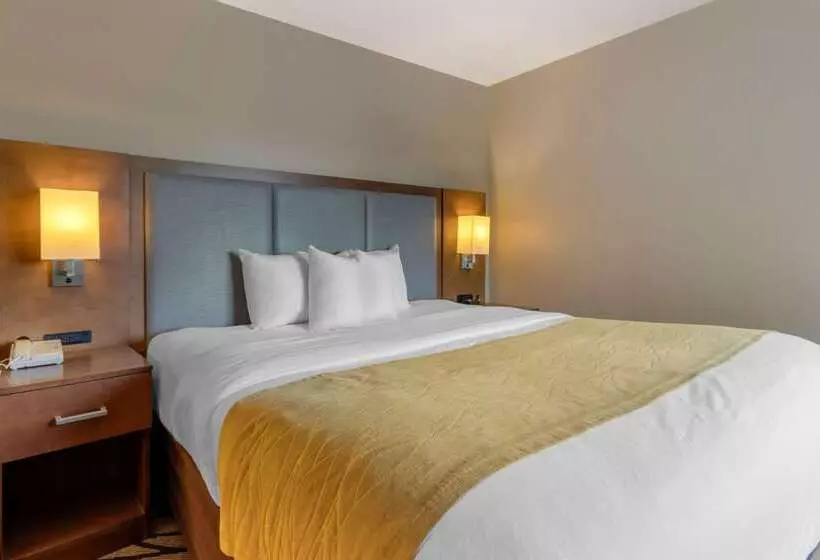 Отель Comfort Inn & Suites Market   Airport