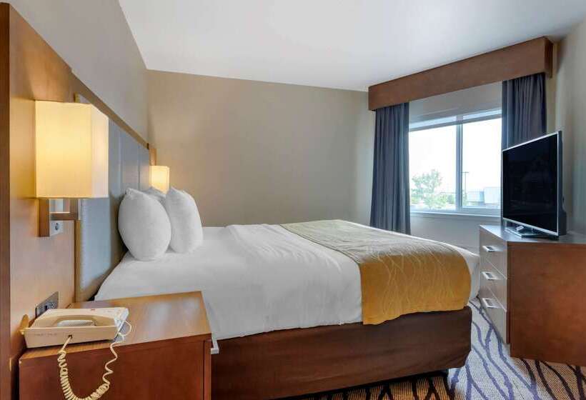 فندق Comfort Inn & Suites Market Airport