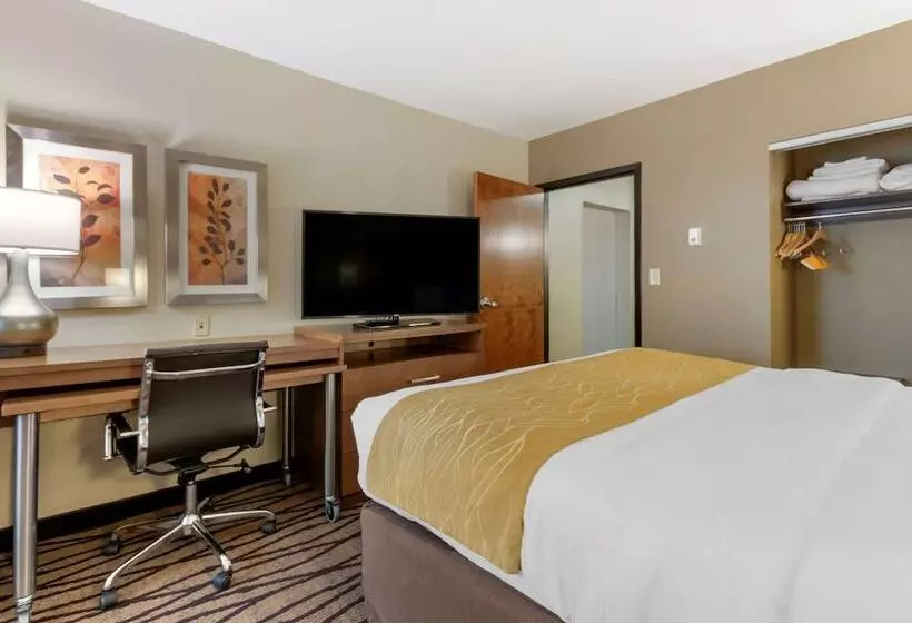 Отель Comfort Inn & Suites Market   Airport