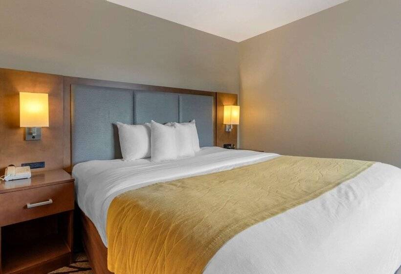 فندق Comfort Inn & Suites Market Airport