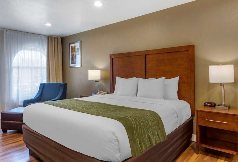 ホテル Comfort Inn Bishop