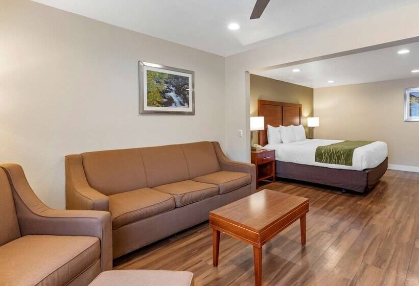 ホテル Comfort Inn Bishop