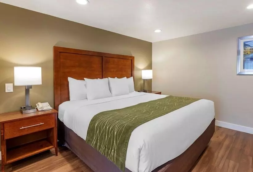 Отель Comfort Inn Bishop