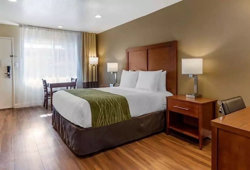 Отель Comfort Inn Bishop