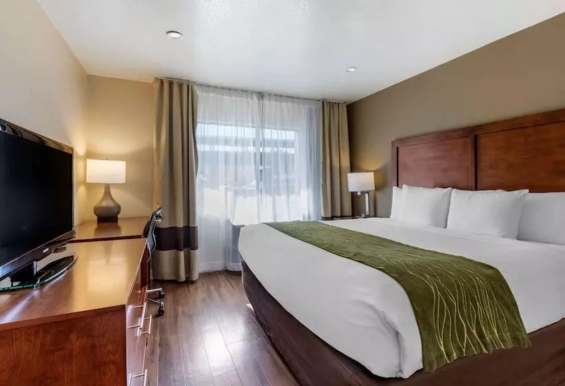 Отель Comfort Inn Bishop
