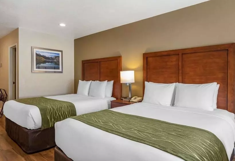 Отель Comfort Inn Bishop