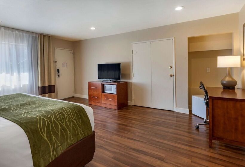 ホテル Comfort Inn Bishop