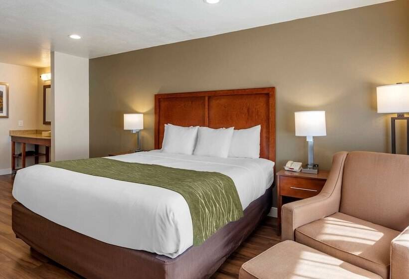 ホテル Comfort Inn Bishop