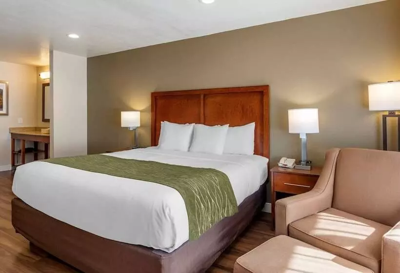 Отель Comfort Inn Bishop