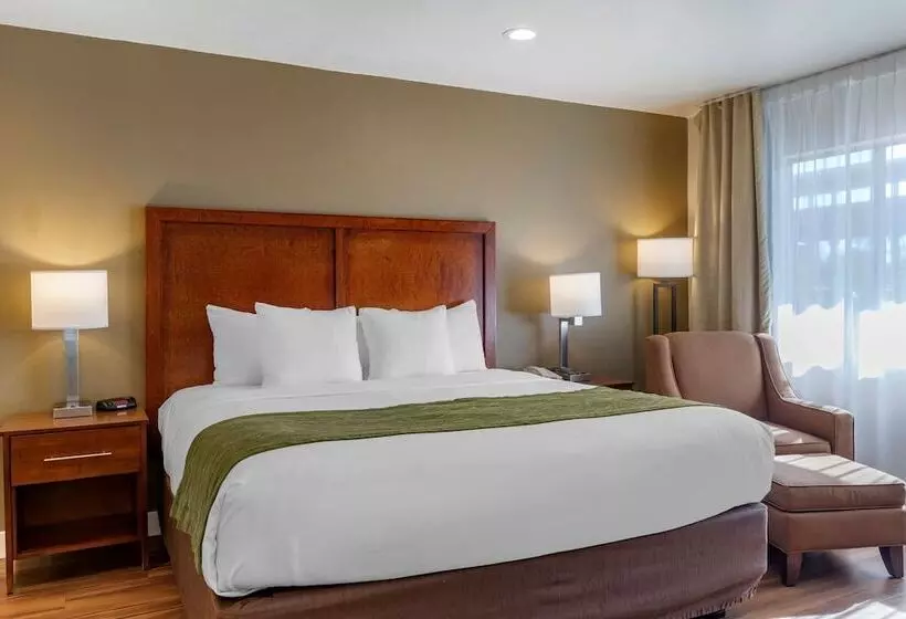 Отель Comfort Inn Bishop