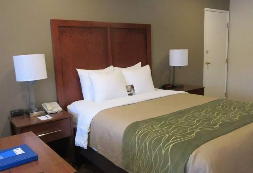 Отель Comfort Inn Bishop