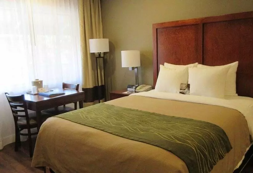 Отель Comfort Inn Bishop