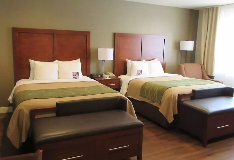 Отель Comfort Inn Bishop