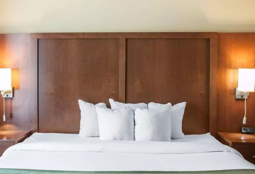 酒店 Comfort Suites Airport