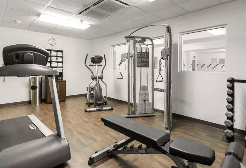 酒店 Comfort Suites Airport