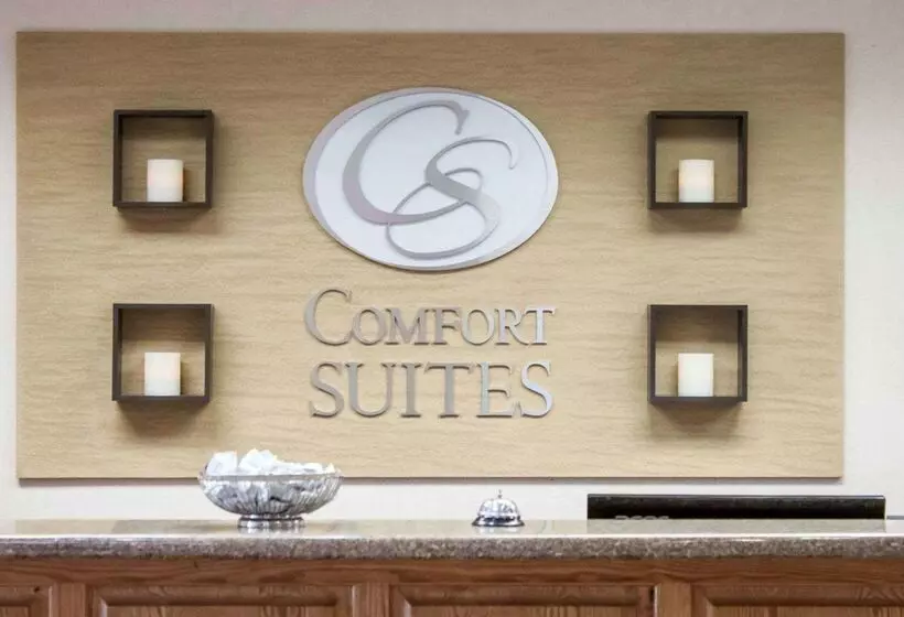 酒店 Comfort Suites Airport