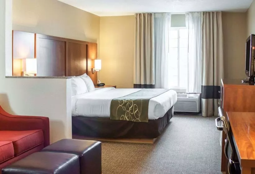 酒店 Comfort Suites Airport