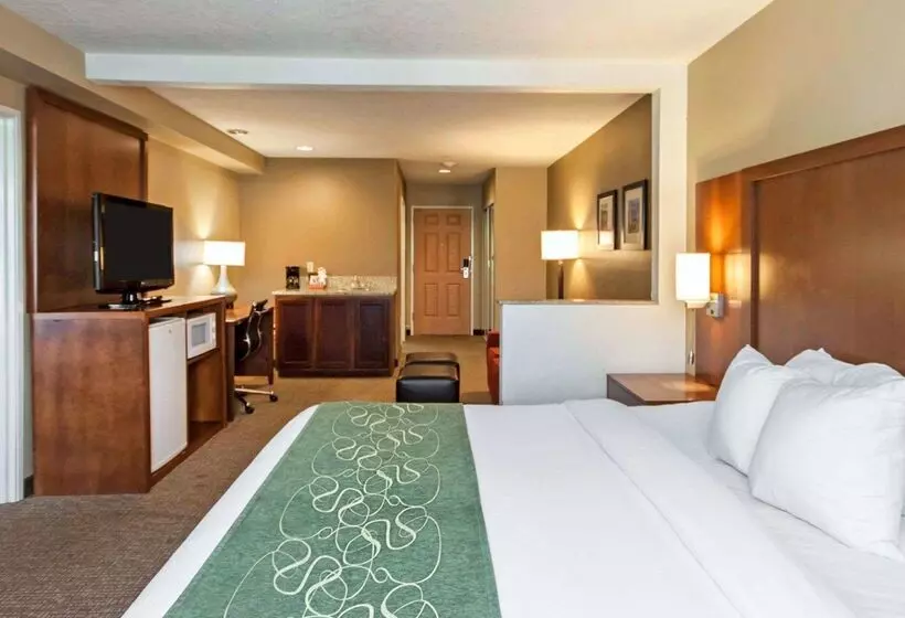 酒店 Comfort Suites Airport