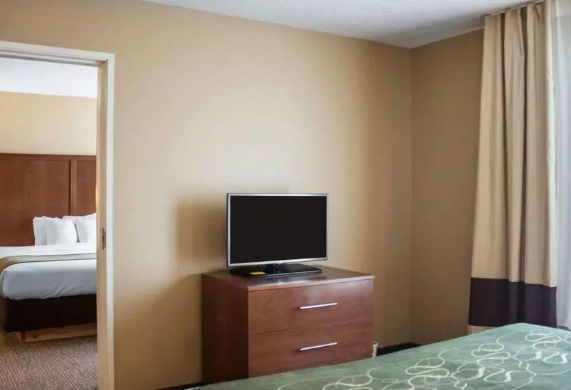 酒店 Comfort Suites Airport