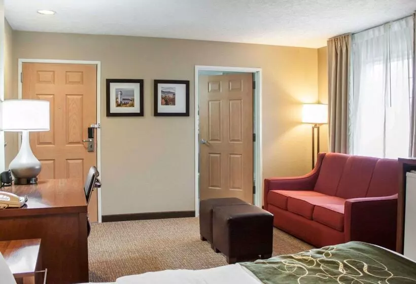 酒店 Comfort Suites Airport