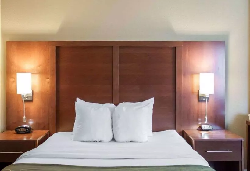 酒店 Comfort Suites Airport