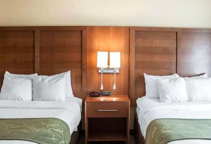 酒店 Comfort Suites Airport