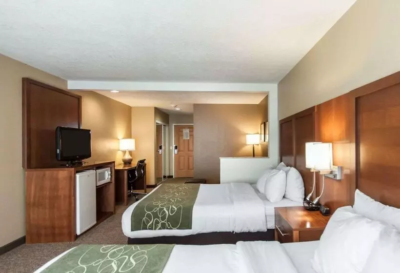 酒店 Comfort Suites Airport