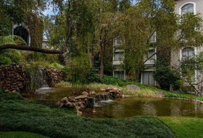 هتل Hilton Guatemala City