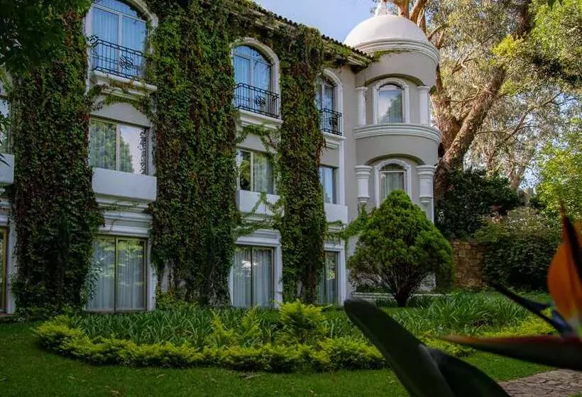 هتل Hilton Guatemala City