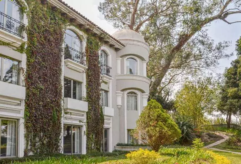 هتل Hilton Guatemala City