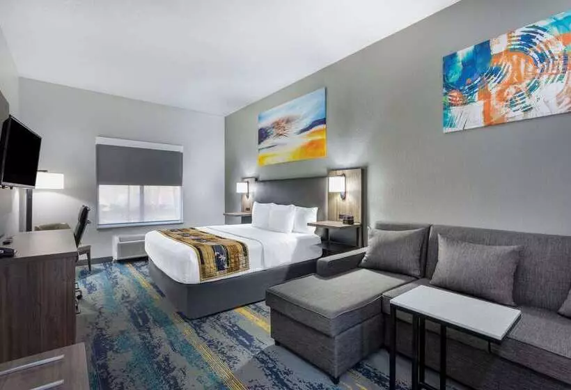 هتل La Quinta By Wyndham Tampa Central