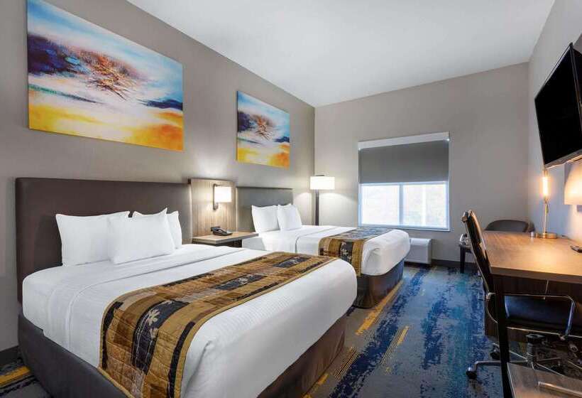 酒店 La Quinta By Wyndham Tampa Central