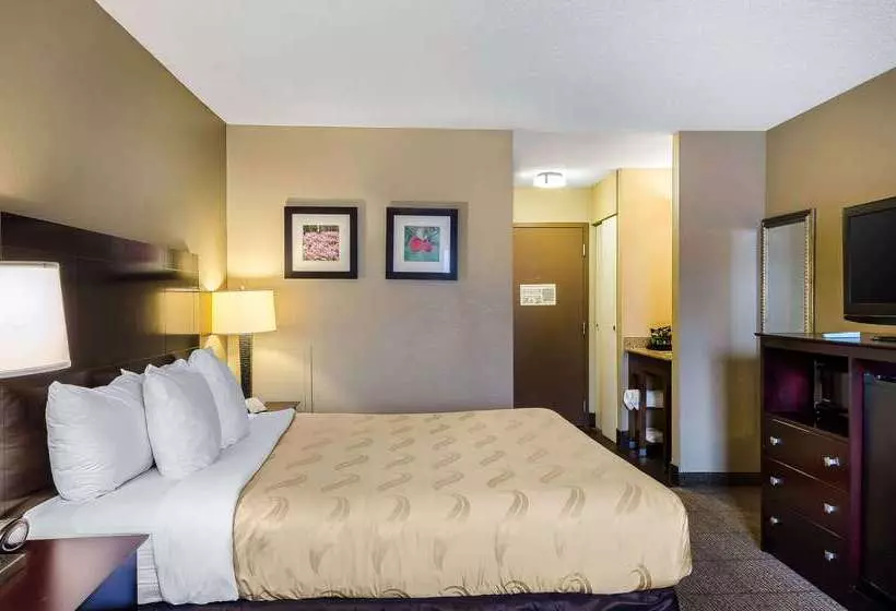 酒店 Quality Inn Ruston