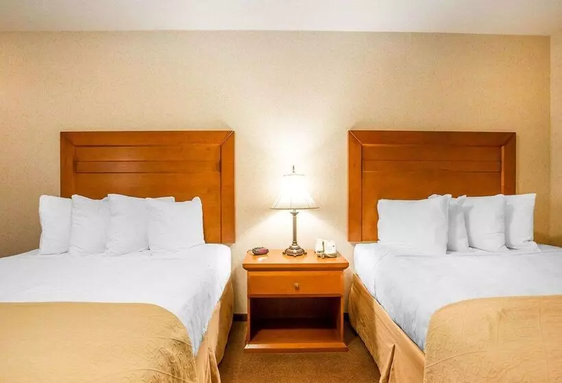 호텔 Quality Inn & Suites