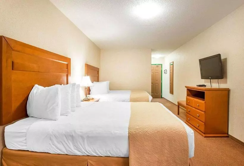 호텔 Quality Inn & Suites