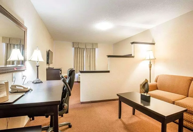 호텔 Quality Inn & Suites