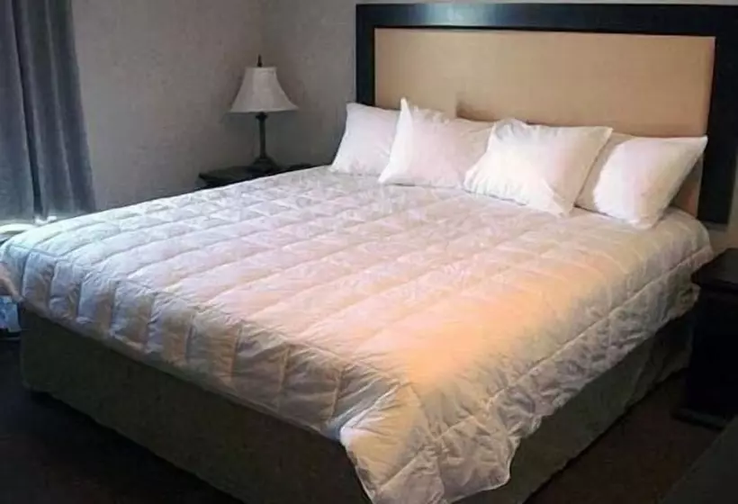 호텔 Quality Inn & Suites