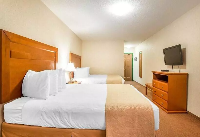 호텔 Quality Inn & Suites