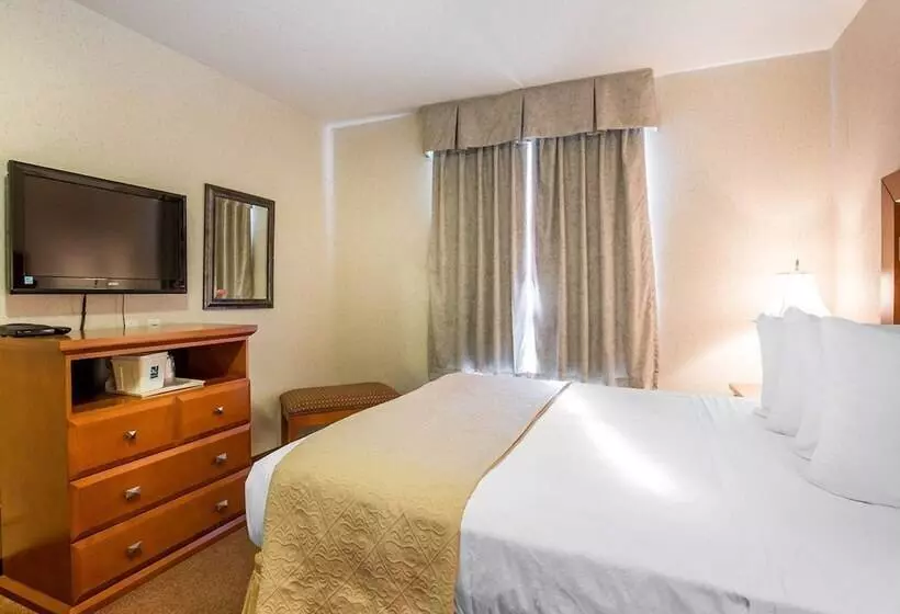 호텔 Quality Inn & Suites