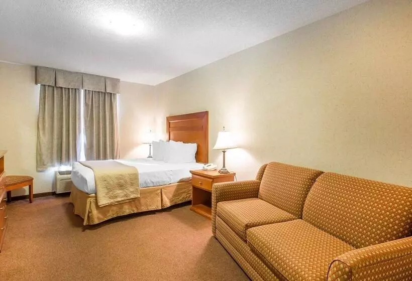 호텔 Quality Inn & Suites
