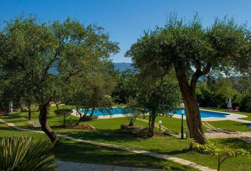 Hotel Saint Nicholas